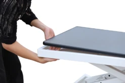 Aeolus Accordion Electric Lift Grooming Table -Andisies Zone 3 9391f289 3adc 4a24 8349 e3ead50b24d4