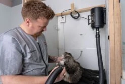 Metrovac Air Force Blaster Professional Grooming Dog & Pet Dryer -Andisies Zone AF Blaster