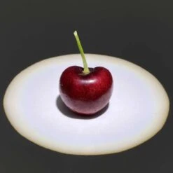 IsoLux Magnum LED Battery Powered Surgical Headlight -Andisies Zone Cherry 500x500 1