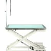 Aeolus LED Electric Lift Grooming Table -Andisies Zone FT 829 LED Lighted Electric Lift Grooming Table Main