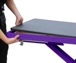 Aeolus Pro Electric Lift Grooming Table -Andisies Zone FT 899 PRO Purple Professional Accordion Electric Lift Grooming table removable tabletop