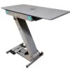 Groomer's Best Electric Low Profile Grooming Table