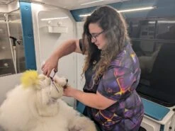 Loyalty Pet Products Special Edition Designed Quarter Zip Smocks W/ FuRResist