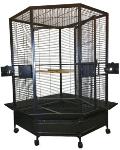 A&E Corner Cage -Andisies Zone aviary a e corner cage 3