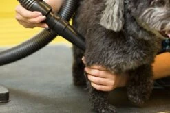 Metrovac Air Force Blaster Professional Grooming Dog & Pet Dryer -Andisies Zone dryers metrovac air force blaster professional grooming dog pet dryer 3