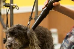 Metrovac Air Force Blaster Professional Grooming Dog & Pet Dryer -Andisies Zone dryers metrovac air force blaster professional grooming dog pet dryer 4