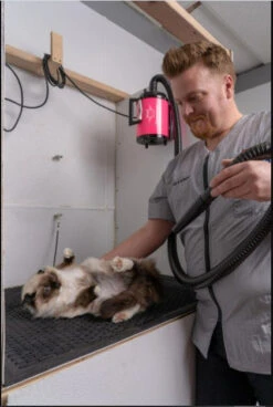 Metrovac Air Force Commander Multi-Speed Dog & Pet Dryer -Andisies Zone dryers metrovac air force commander multi speed dog pet dryer 11