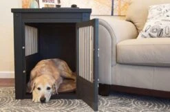 New Age Pet InnPlace Crate With Stainless Steel Spindles -Andisies Zone ecoFLEX InnPlace Crate EHHC402