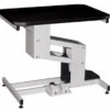 Edemco F976 Electric Grooming Table **Lead Time Applies -Andisies Zone grooming tables edemco f976 electric grooming table 1