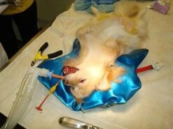 HUG-U-VAC Surgical Head Positioner -Andisies Zone positioner hug u vac surgican head positioner 4