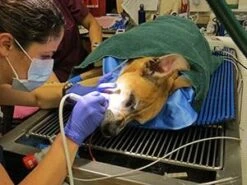 HUG-U-VAC Surgical Head Positioner -Andisies Zone positioner hug u vac surgican head positioner 5