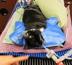 HUG-U-VAC Surgical Head Positioner -Andisies Zone positioner hug u vac surgican head positioner 6