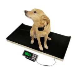 DRE Veterinary Scales -Andisies Zone veterinary scales dre veterinary scales 3