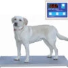 Digital Walk-On Weigh Scale -Andisies Zone veterinary scales vetline digital walk on weigh scale 1