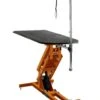 Shor-Line Big Top Grooming Table, Electric Lift -Andisies Zone veterinary tables shor line big top grooming table electric lift 1
