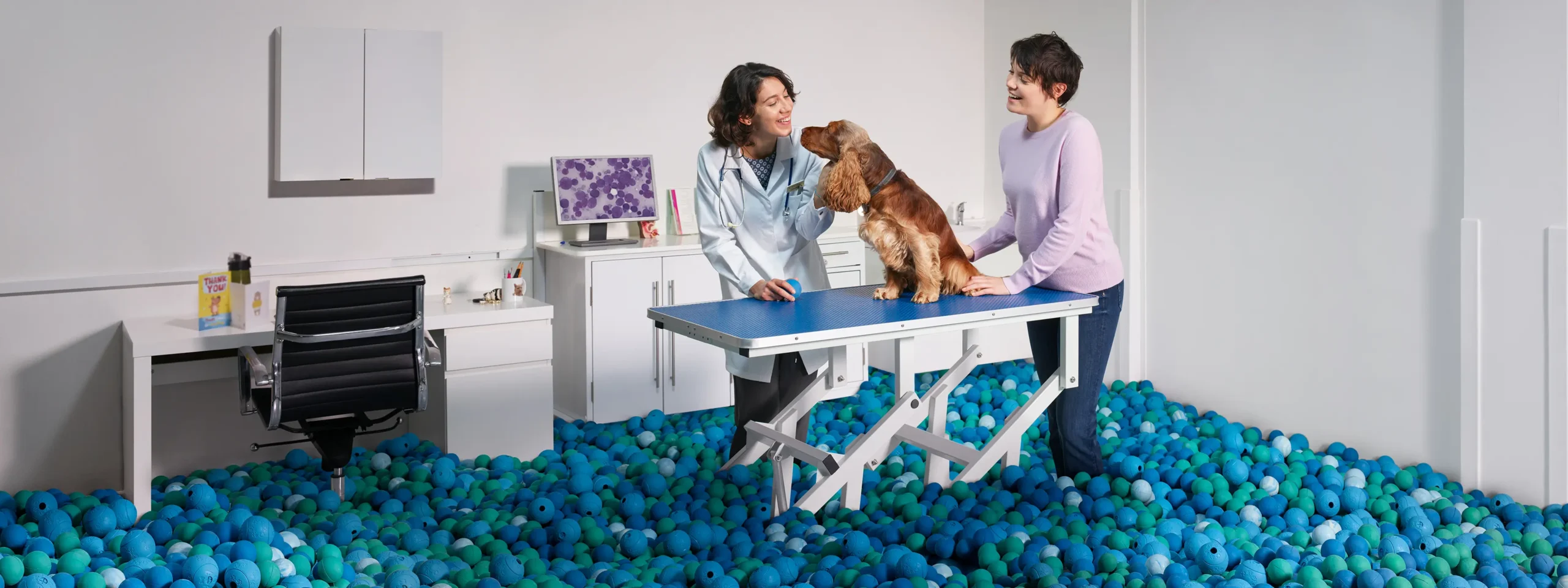 Andisies Zone -Andisies Zone Tanovea Vet Owner Dog Banner 3840x1440 1 scaled